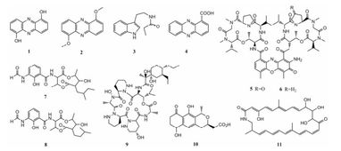 動(dòng)物來源放線菌的次級(jí)代謝產(chǎn)物及其生物活性研究進(jìn)展 純化策略與挑戰(zhàn)